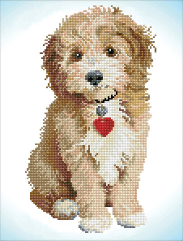Lovely Boy - Diamond Dotz