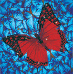 Flutter by Red - Diamond Dotz